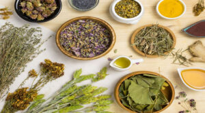 Herbal Wonders: Top Ayurvedic Herbs for Everyday Wellness